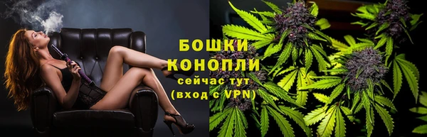 соль ск Богданович